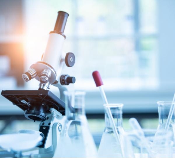 Tayb Pharma
